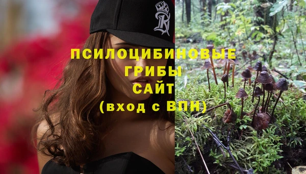кокс Баксан