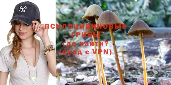 кокс Баксан