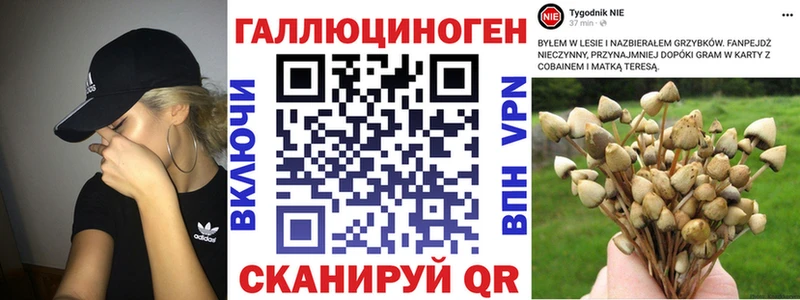где можно купить   Озёры  Галлюциногенные грибы ЛСД 
